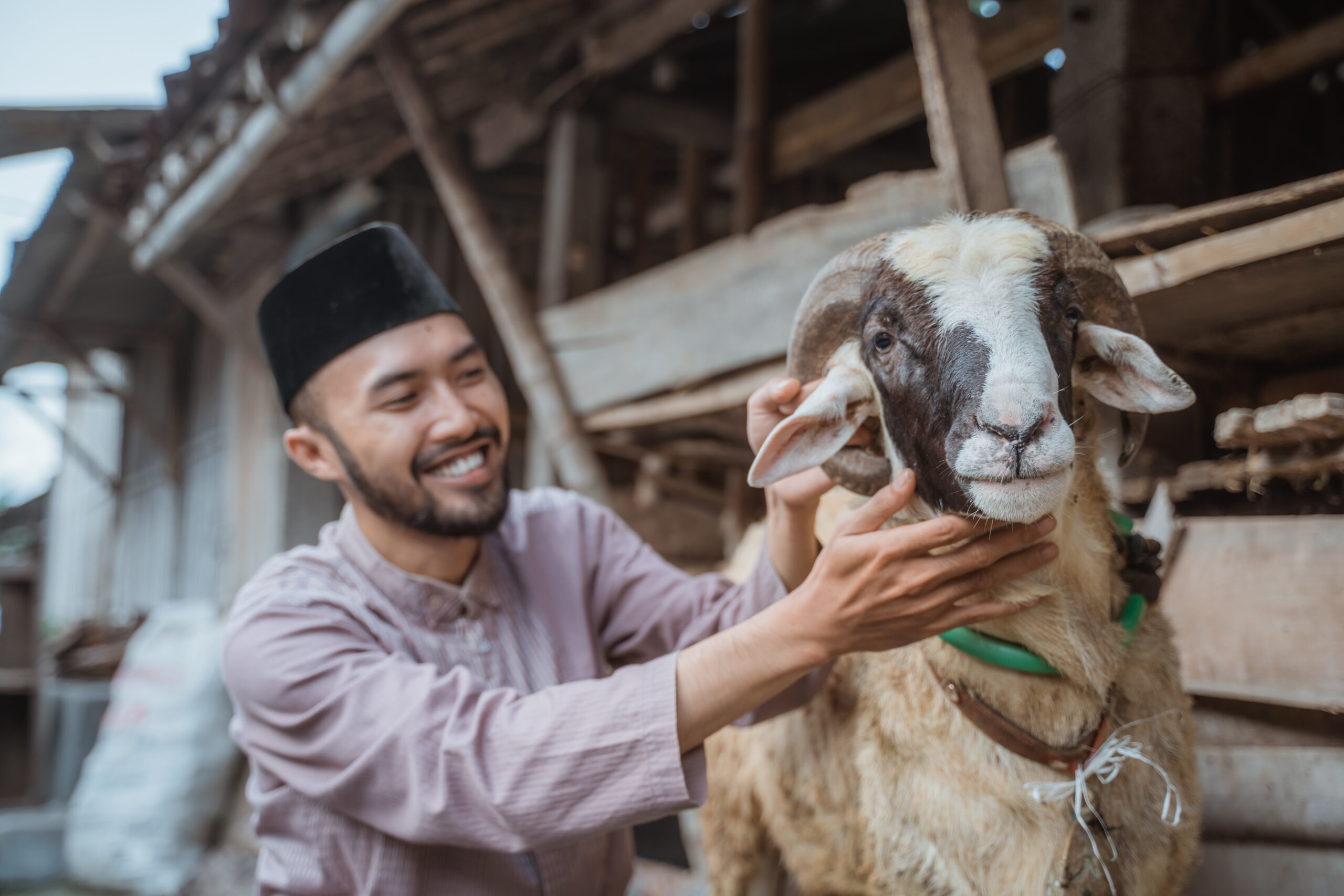 Qurban